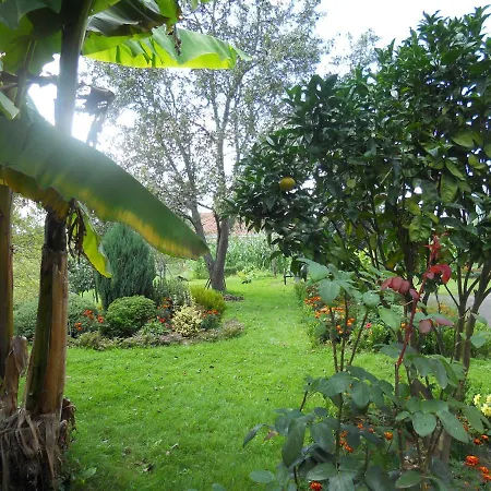 Casa di campagna El Jondrigu