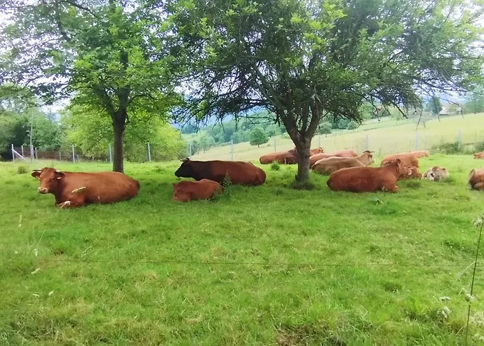 Country house El Jondrigu *