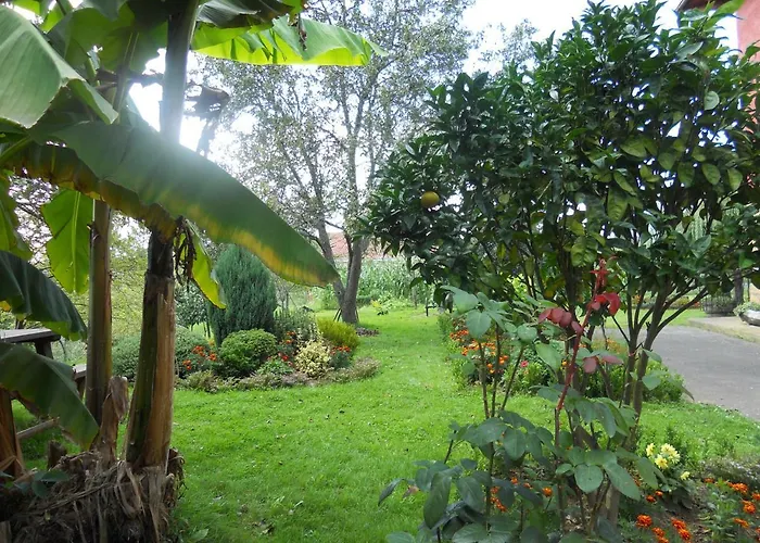 Country house El Jondrigu